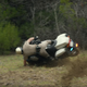 Image for article titled CHIPS' Dax Shepard On Wrenching, Motorcycle Stunts And Crazy Fast Wagons